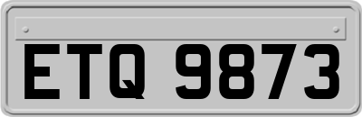 ETQ9873