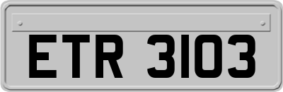 ETR3103