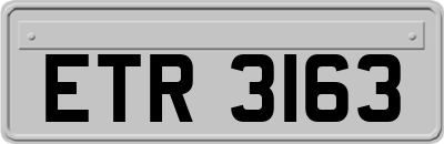 ETR3163