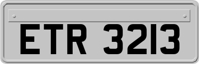 ETR3213