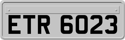 ETR6023