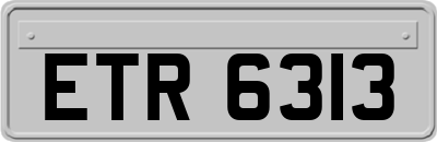 ETR6313