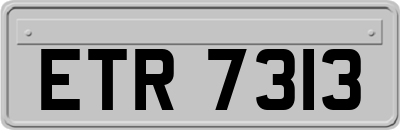 ETR7313