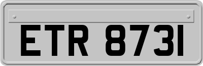 ETR8731