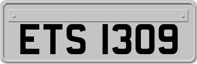ETS1309