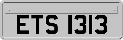 ETS1313