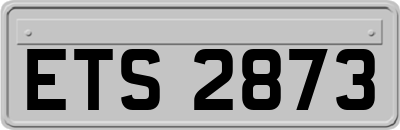 ETS2873
