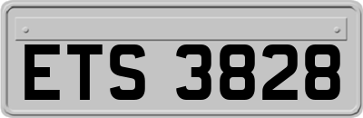 ETS3828
