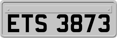 ETS3873
