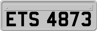 ETS4873