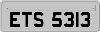 ETS5313