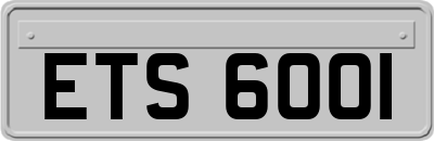 ETS6001
