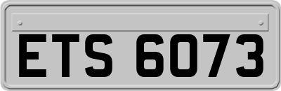 ETS6073