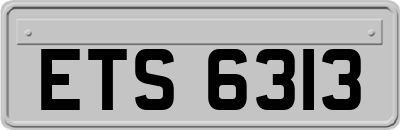 ETS6313