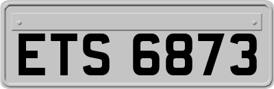 ETS6873