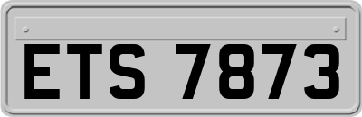 ETS7873