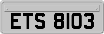 ETS8103