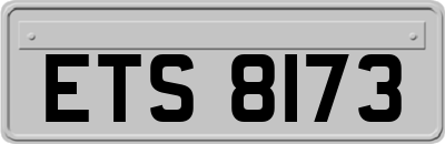 ETS8173
