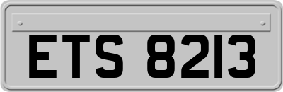 ETS8213