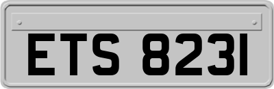 ETS8231