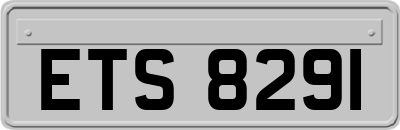 ETS8291