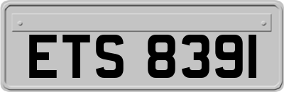 ETS8391