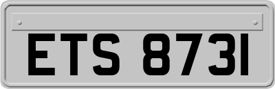 ETS8731