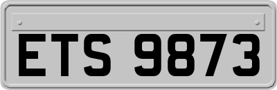 ETS9873