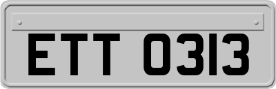 ETT0313