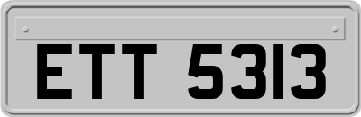 ETT5313