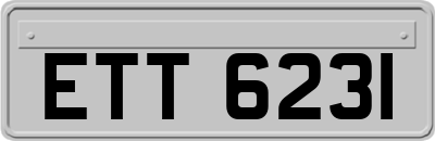 ETT6231