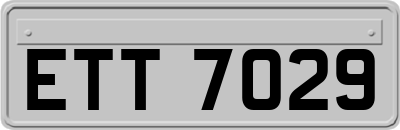 ETT7029