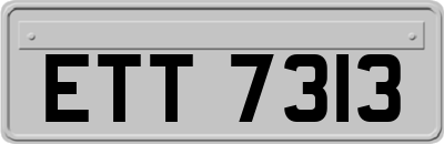 ETT7313