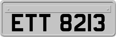 ETT8213