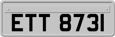 ETT8731