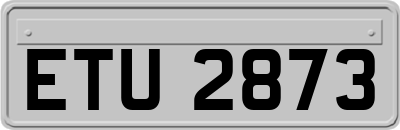 ETU2873