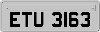 ETU3163