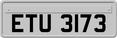 ETU3173