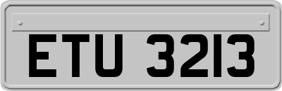 ETU3213