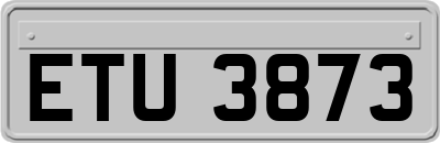 ETU3873