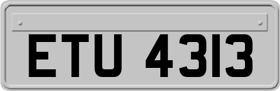 ETU4313