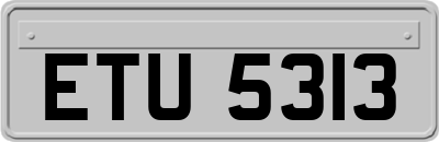 ETU5313