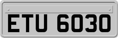 ETU6030