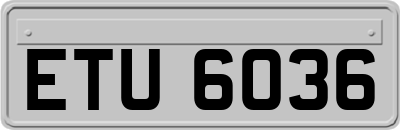 ETU6036