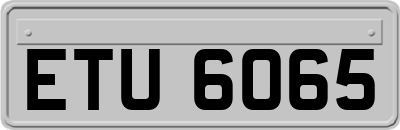 ETU6065