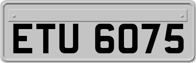 ETU6075