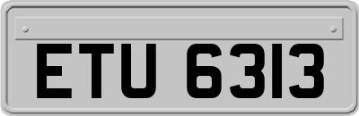 ETU6313