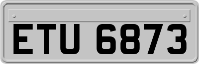 ETU6873