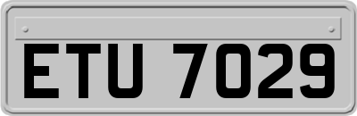 ETU7029