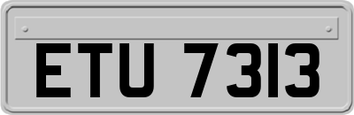 ETU7313